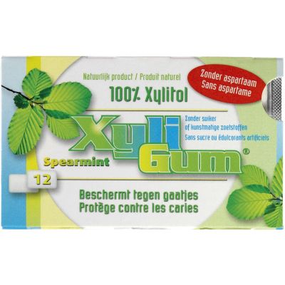 Kauwgom spearmint van Xyligum GEEN BIO, 24 x 15 g